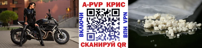 blacksprut вход  Пыть-Ях  A PVP крисы CK 