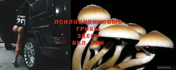мескалин Белокуриха