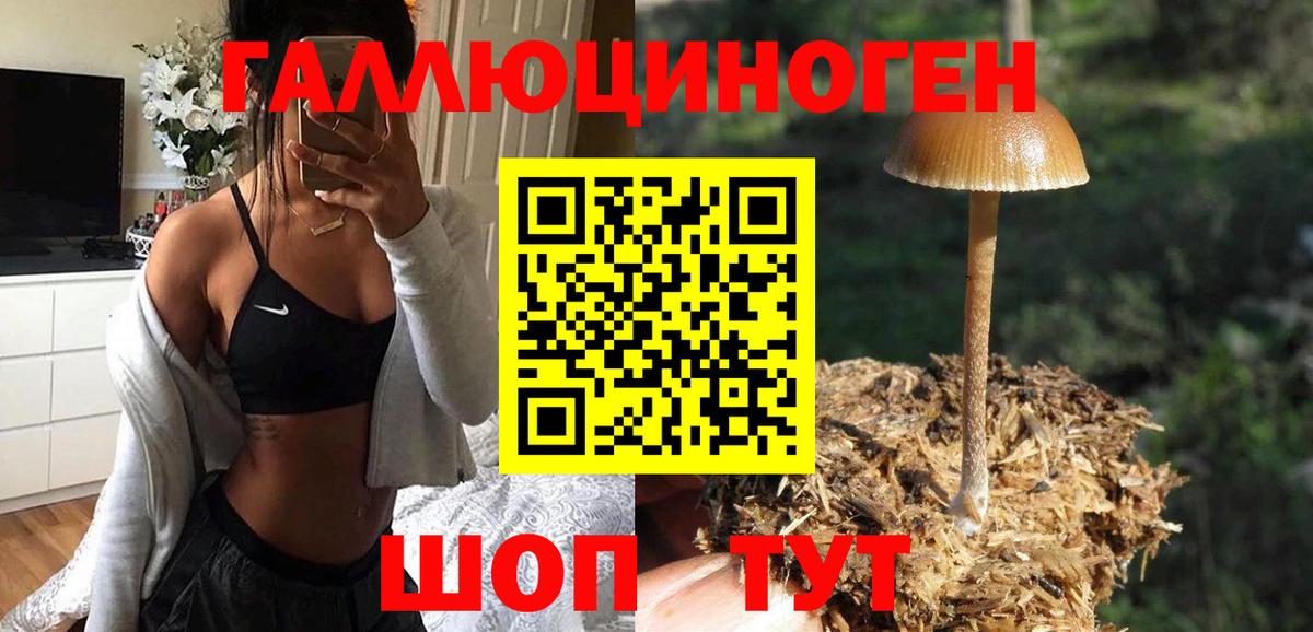 Псилоцибиновые грибы GOLDEN TEACHER Пыть-Ях